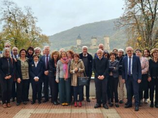 IMG 20251108 WA0087 1